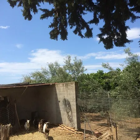 Alloggio per agriturismo Agriturismo Sarita Flumini di Quartu