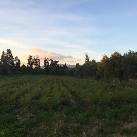 Agriturismo Sarita